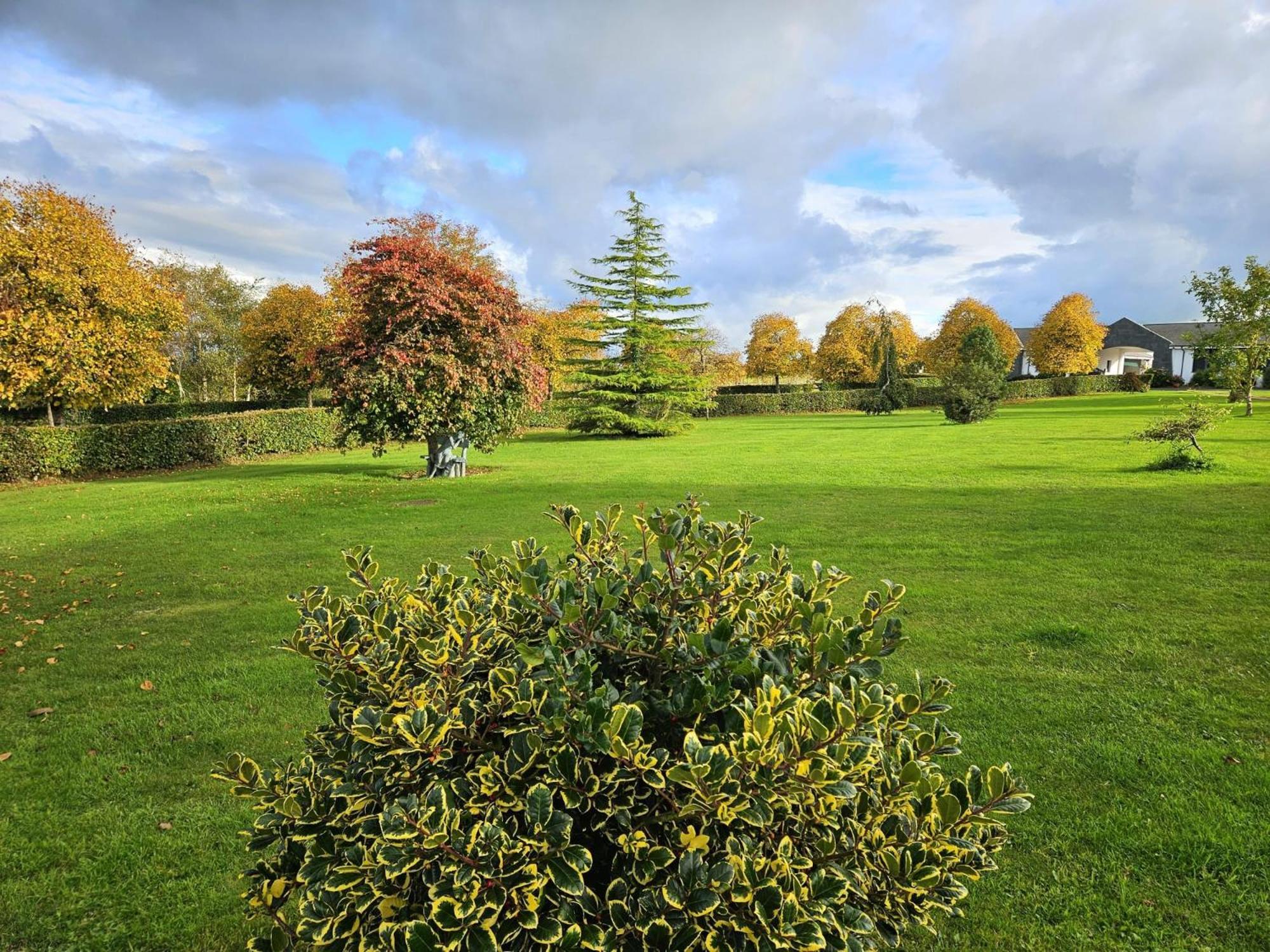 Hazelwood Country House Adare Extérieur photo